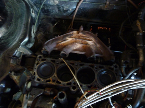 P1090422bis.jpg
