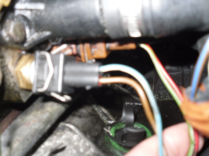 SDC14165 (Copier).JPG