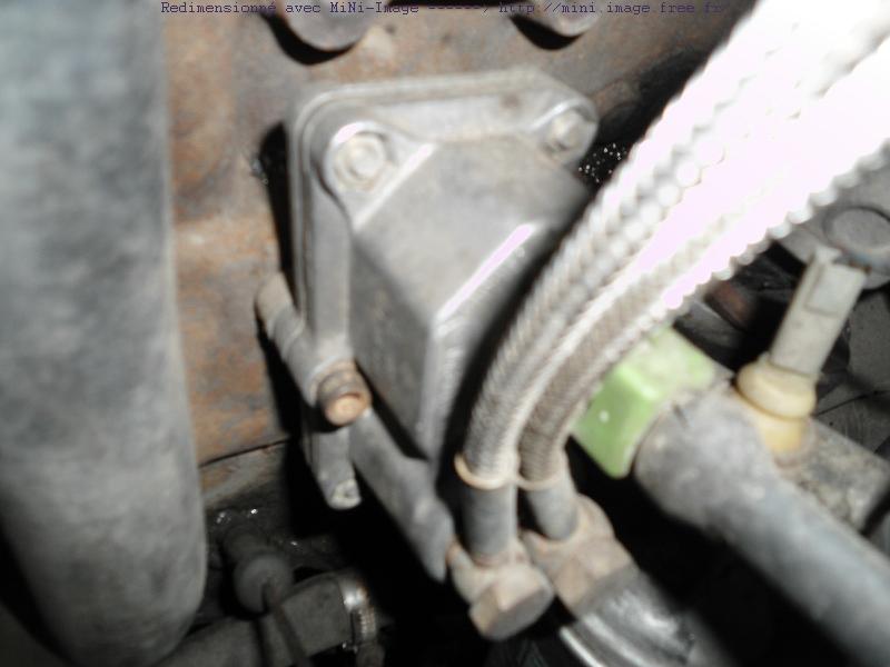 DSC00432-MiNi.JPG