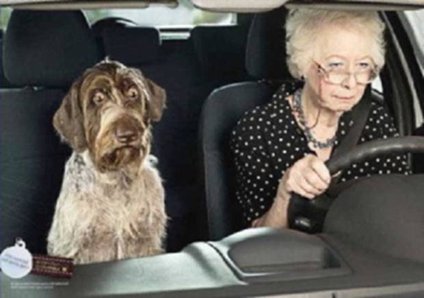 personne-age-voiture.jpeg