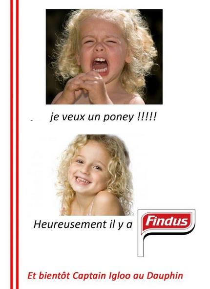 Findus.jpg