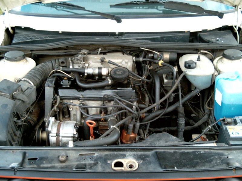 DSCI0157.JPG