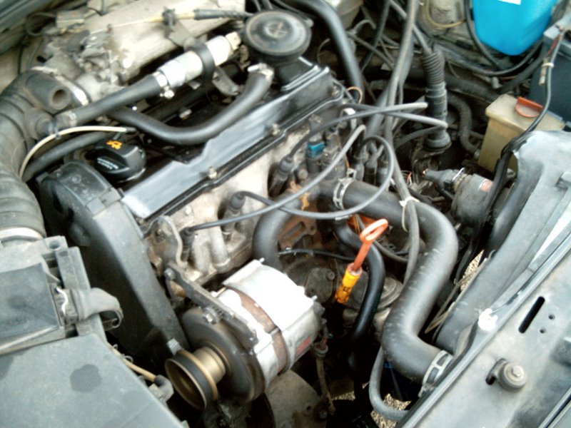 DSCI0158.JPG