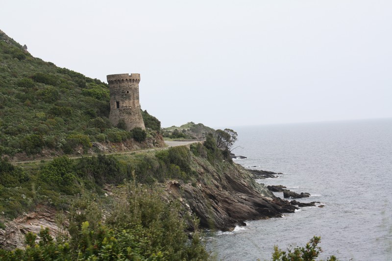 IMG_8702.jpg