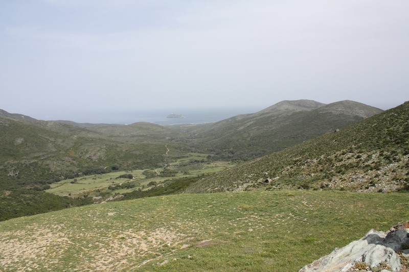 IMG_8706.jpg