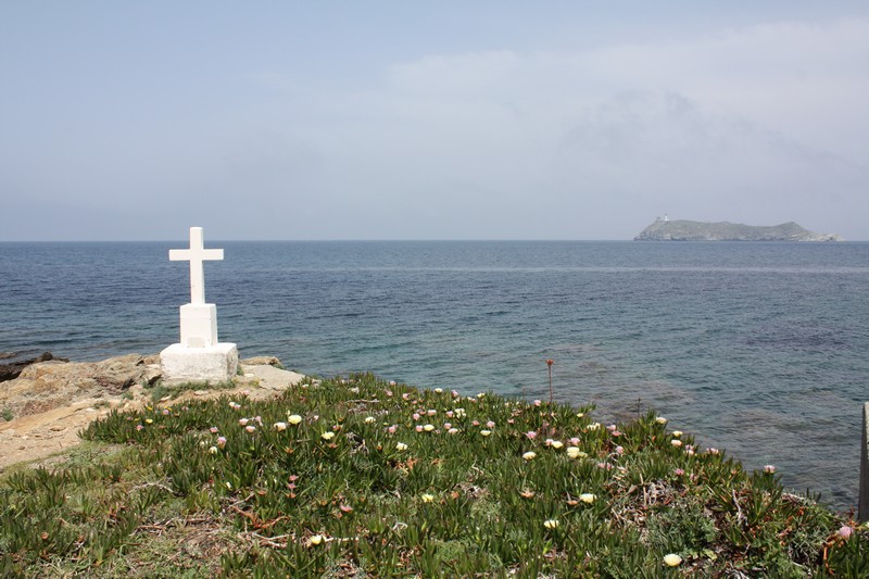 IMG_8735.jpg