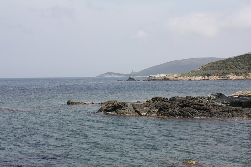 IMG_8738.jpg