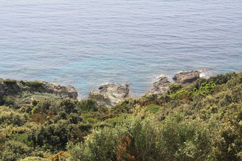 IMG_8766.jpg