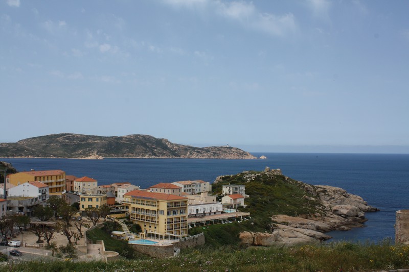 IMG_8826.jpg