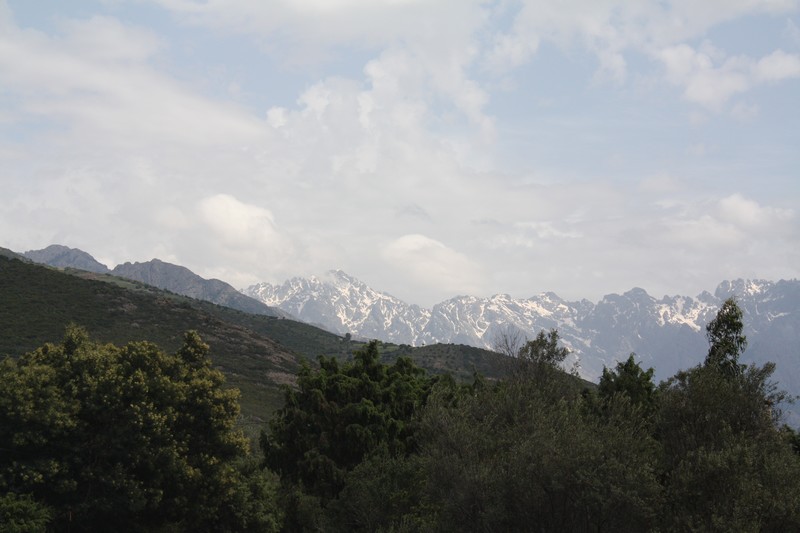 IMG_8890.jpg