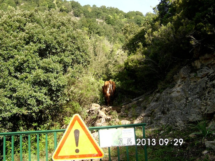 DSCI0012 3.JPG