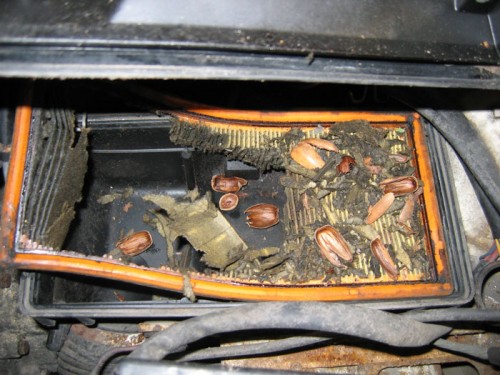 filtre-à-air.jpg